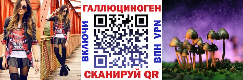 Галлюциногенные грибы прущие грибы  Ачхой-Мартан 